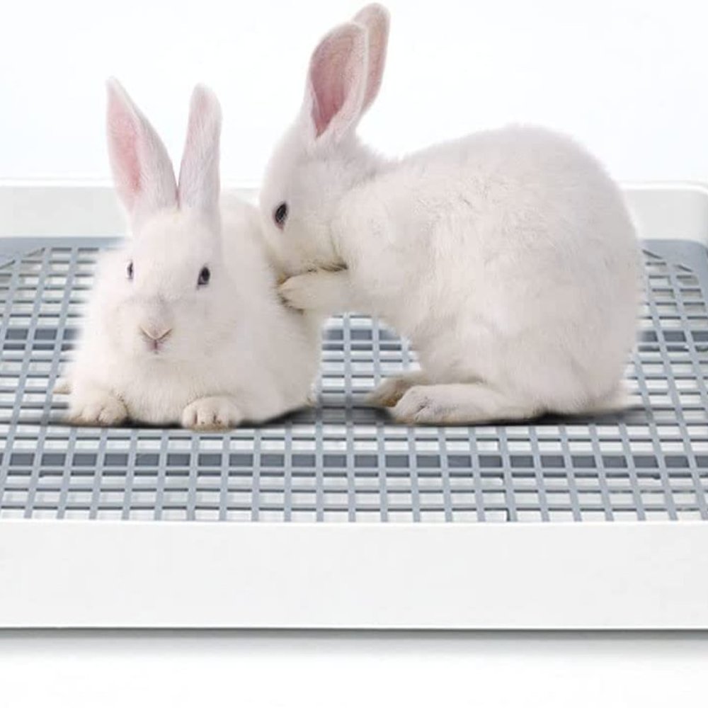 Guinea Pig Litter Pan Bed Cage Guinea Pig Toilet Small Animal Bed Cage New